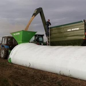 Storing grain in bags